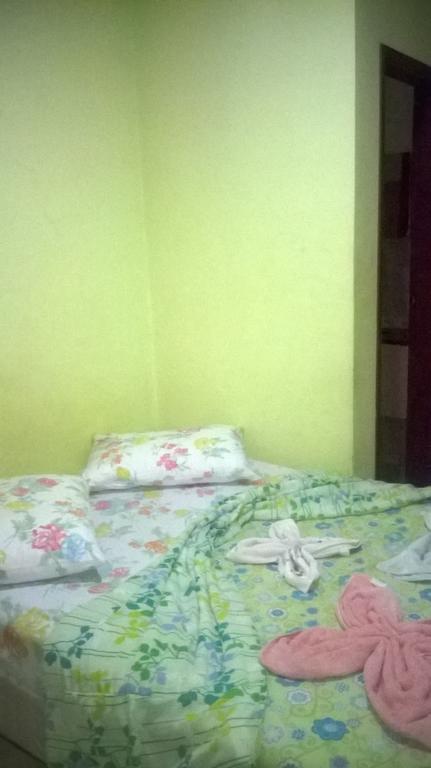 Manezinho'S Palace Hotel São João da Boa Vista エクステリア 写真